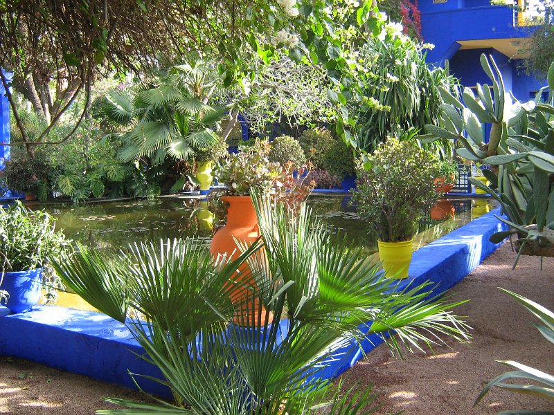 170312_vijver majorelletuin.jpg - Zaterdag bezoeken we een aantal plaatsen in Marrakech. Als eerste de Jardin Majorelle. De Marjorelletuin is een botanische tuin die door de Franse kunstenaar Jacques Majorelle in 1924 werd ontworpen. De blauwe kleur die veel gebruikt word is later naar hem genoemd.
